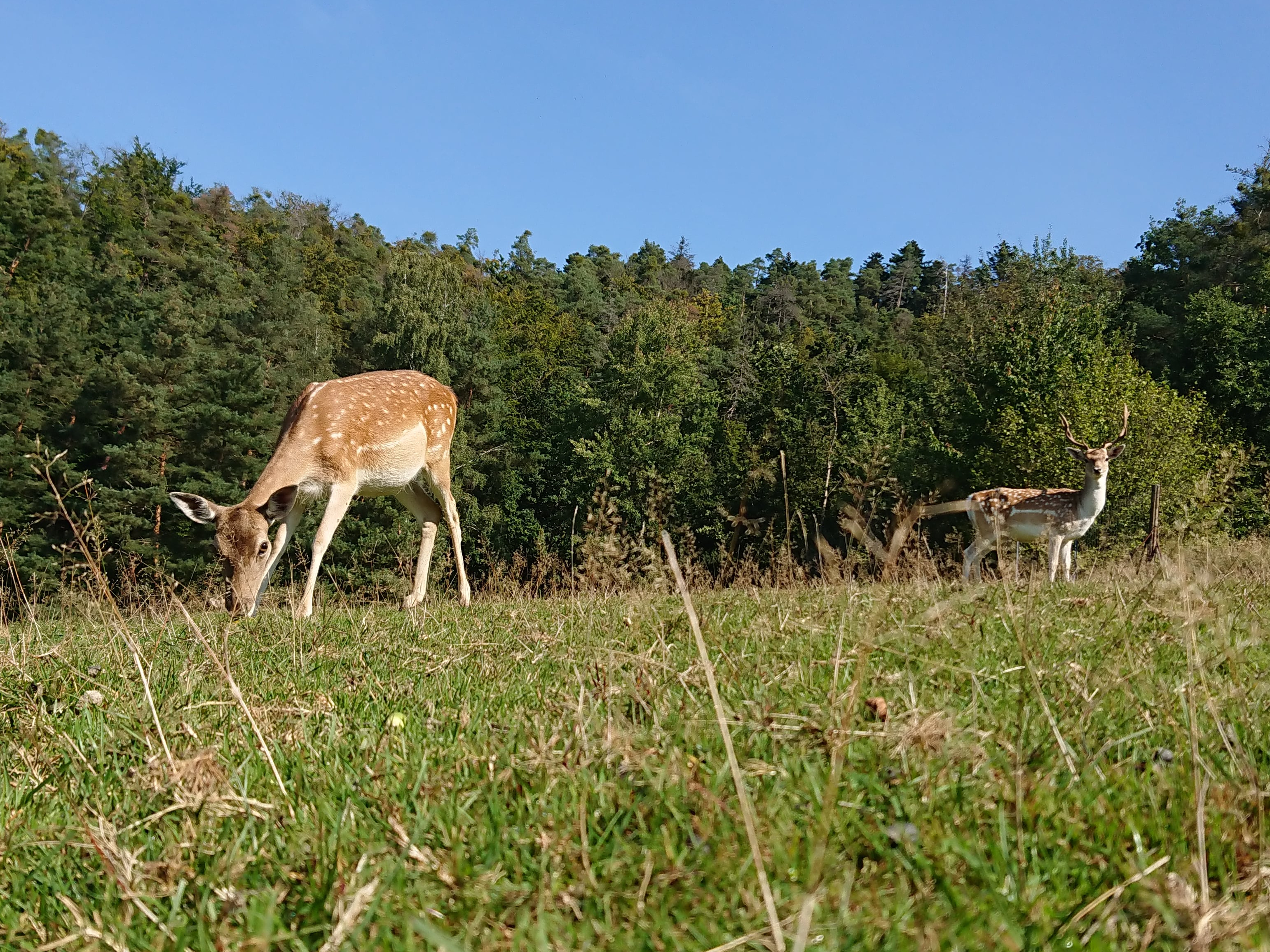 DSC_1267-min.JPG